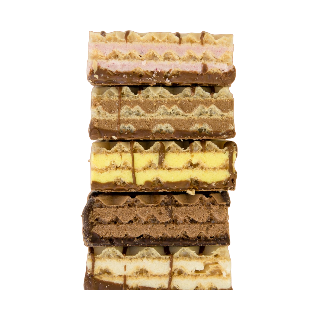 Protein Wafers
