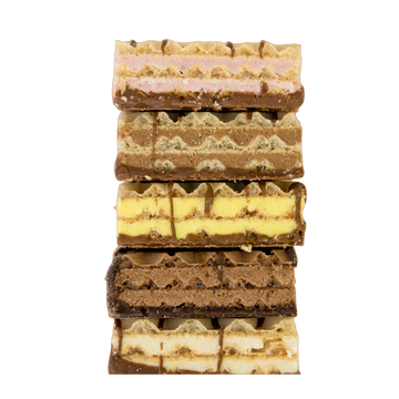 Protein Wafers